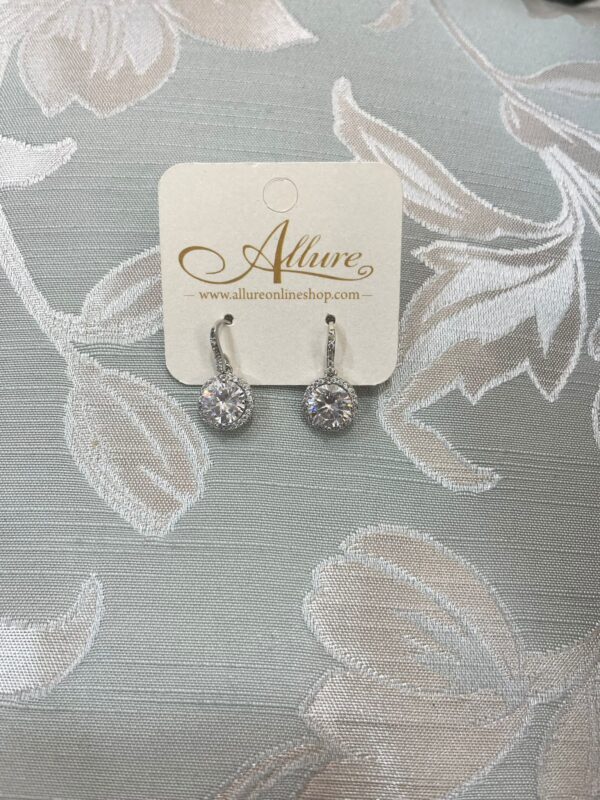 Chic Sparkle Earrings Silver - Image 3