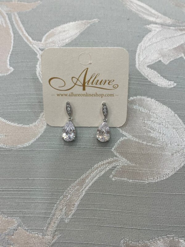 Classic Sparkle Earrings Silver